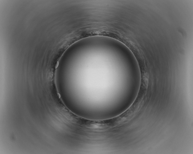 X0000115810657200911131421