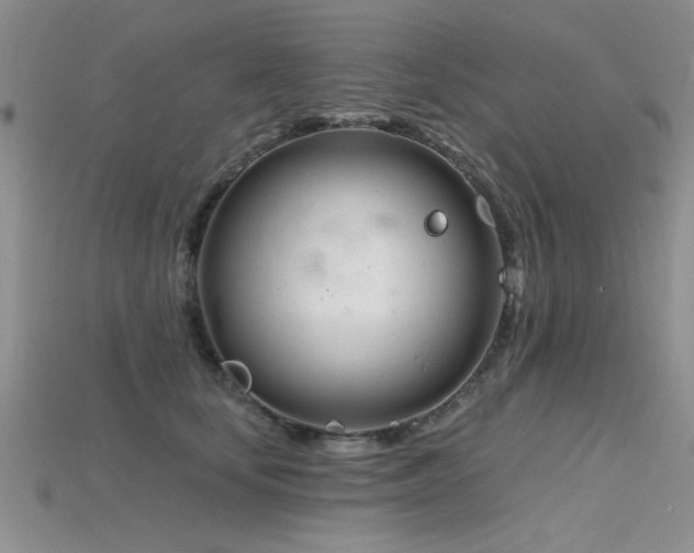 X0000115810659200911131421
