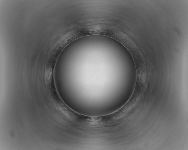X0000115810660200911131421