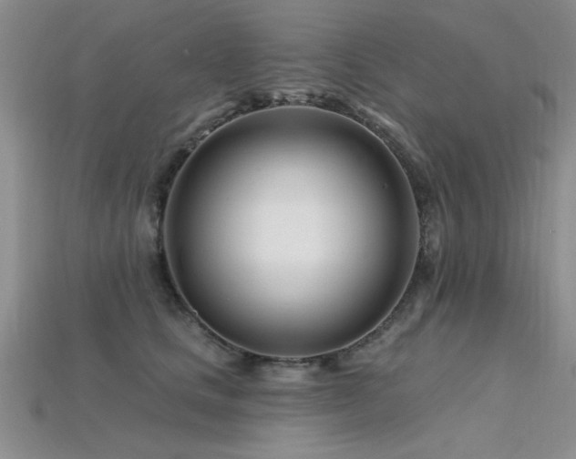 X0000115810661200911131421