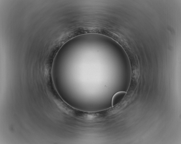 X0000115810662200911131421