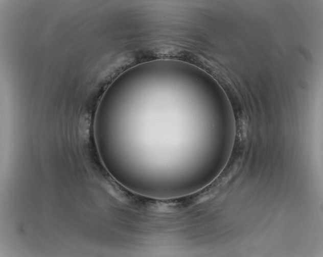 X0000115810664200911131421