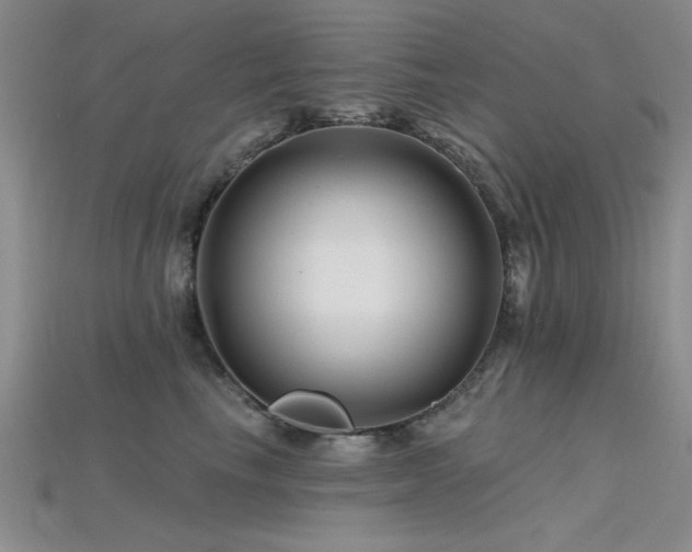 X0000115810665200911131421