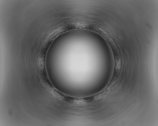 X0000115810666200911131421