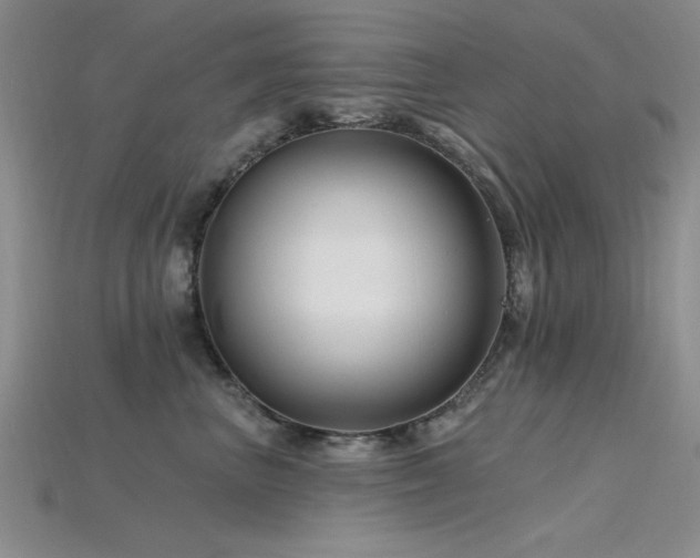 X0000115810667200911131421