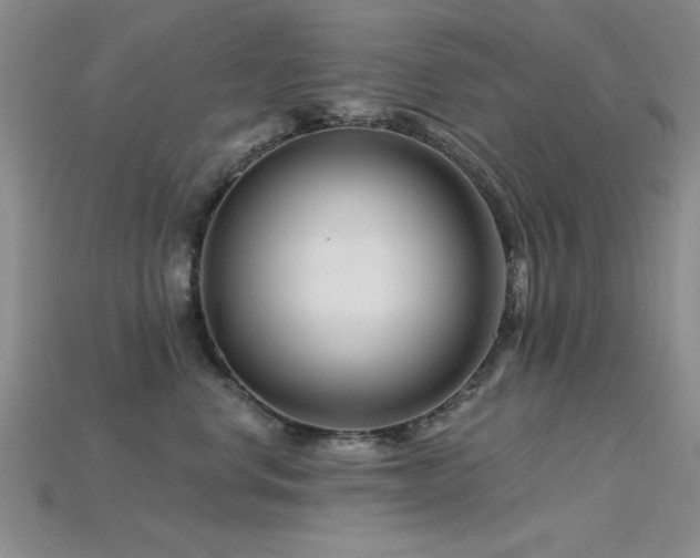 X0000115810668200911131421