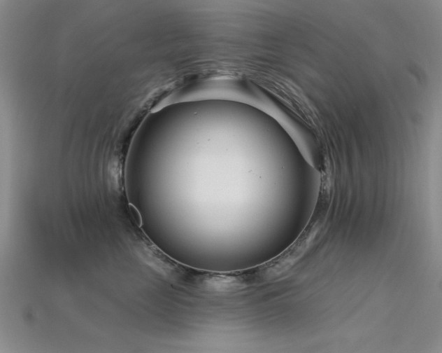 X0000115810669200911131421