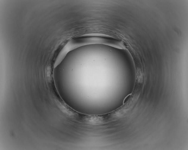 X0000115810670200911131421