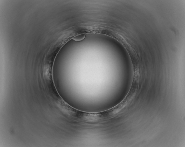 X0000115810671200911131421