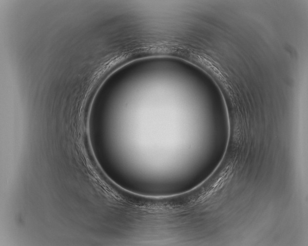X0000115810673200911131421