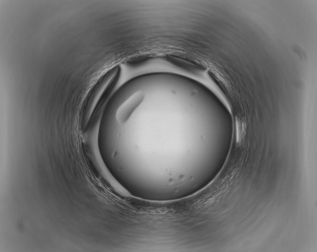 X0000115810675200911131421
