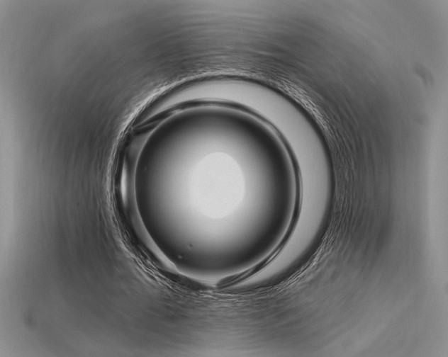X0000115810676200911131421