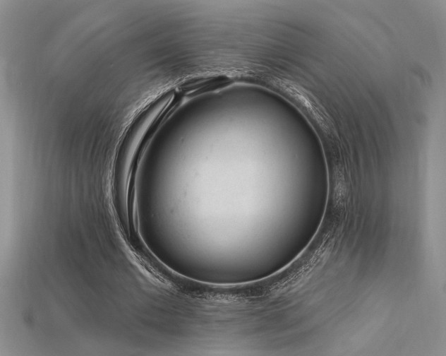 X0000115810677200911131421