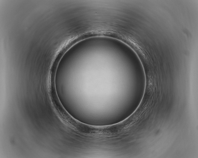 X0000115810678200911131421