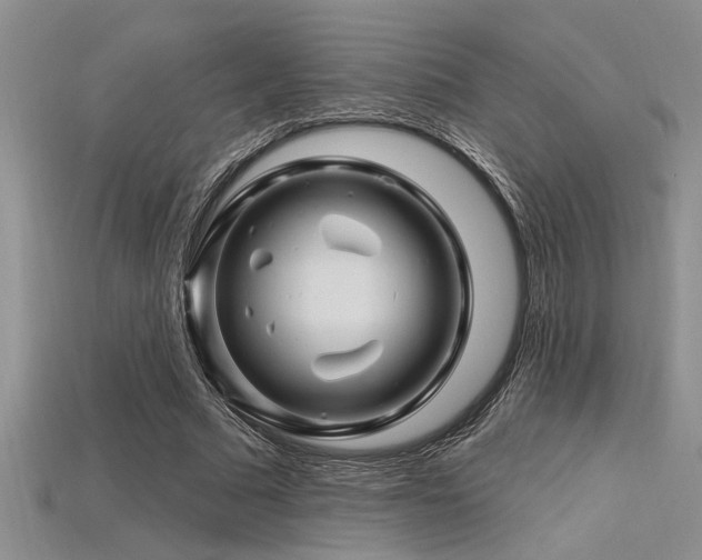 X0000115810681200911131421