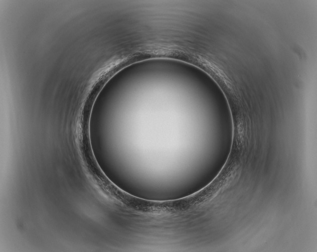 X0000115810682200911131421