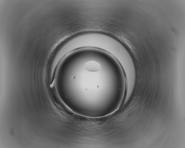 X0000115810684200911131421