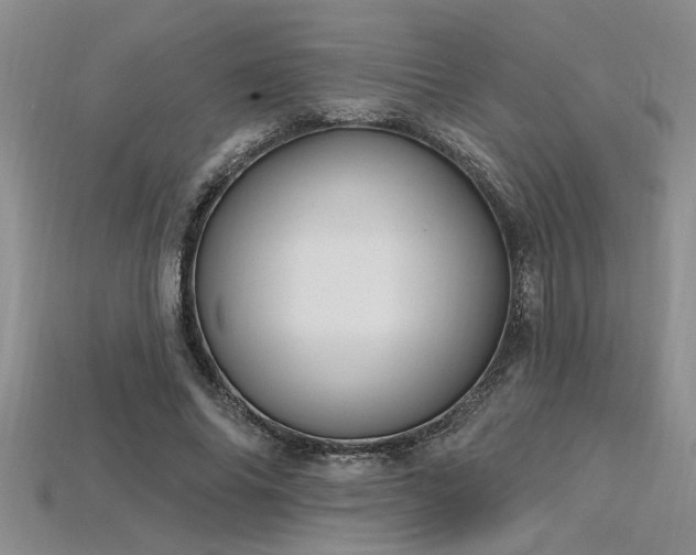 X0000115810686200911131421