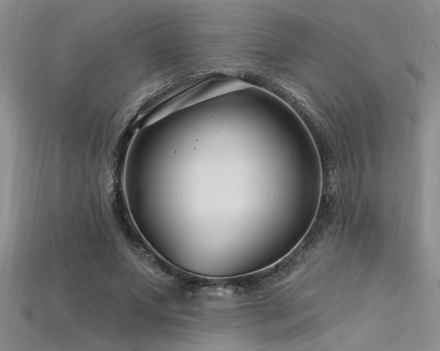 X0000115810687200911131421
