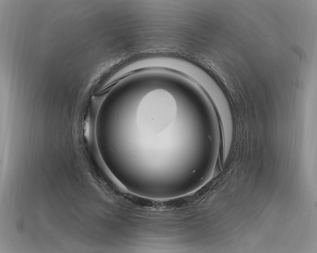 X0000115810688200911131421