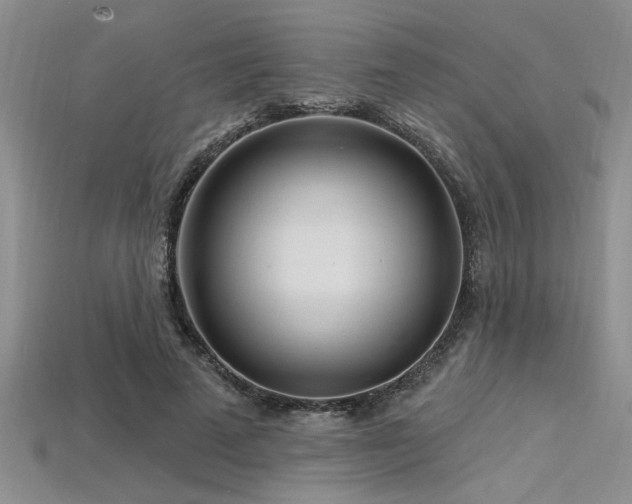X0000115810689200911131421