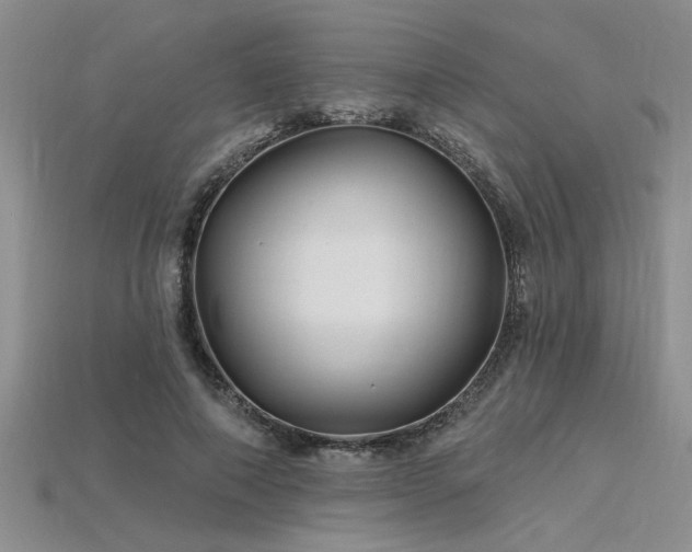 X0000115810690200911131421