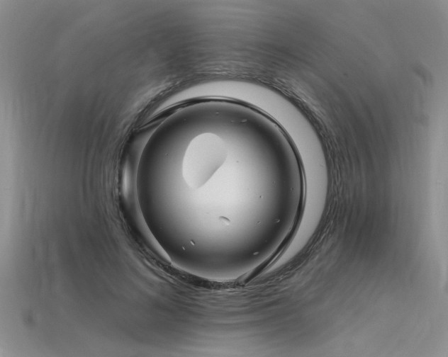 X0000115810692200911131421
