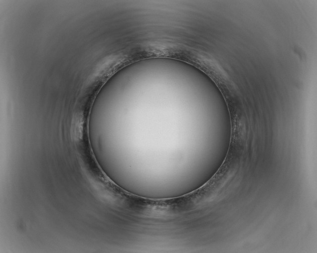 X0000115810694200911131421