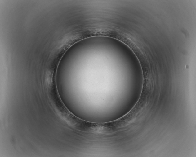 X0000115810695200911131421