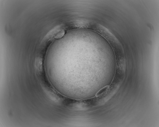 X0000115810696200911131421