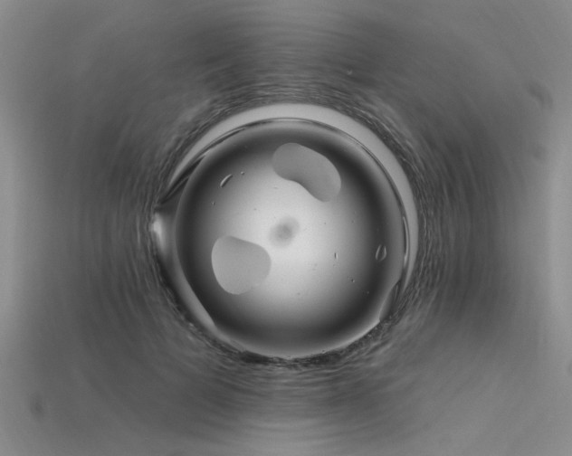 X0000115810697200911131421