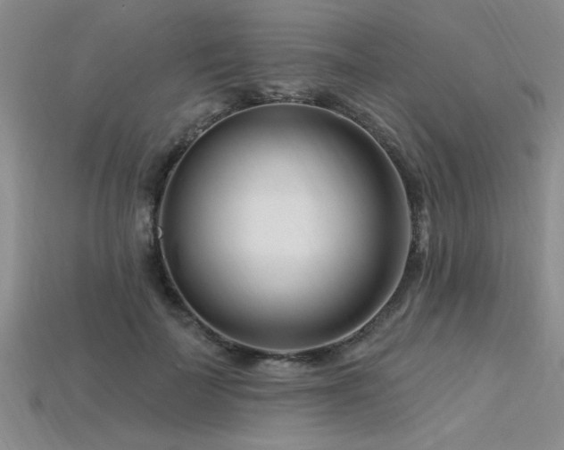 X0000115810699200911131421