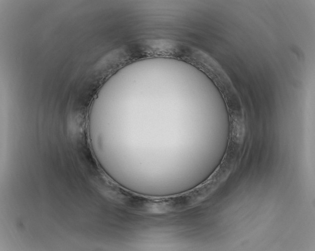 X0000115810701200911131421