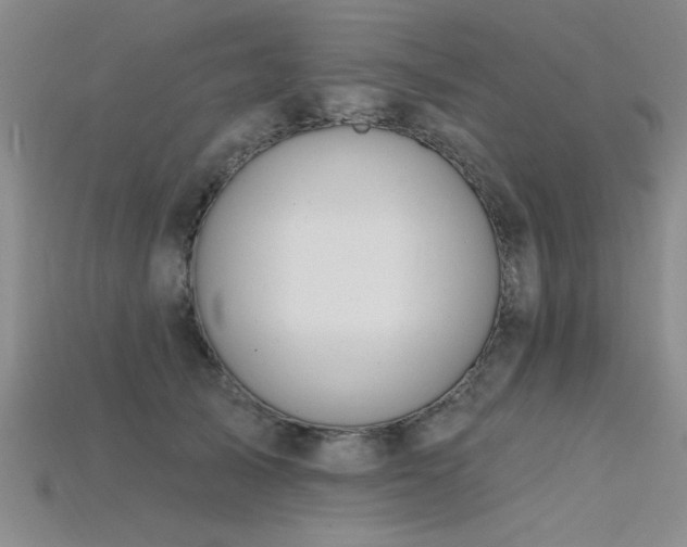 X0000115810705200911131420