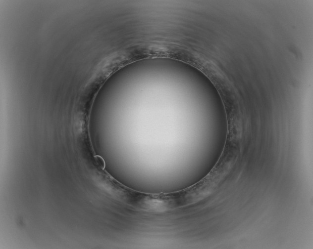X0000115810706200911131420