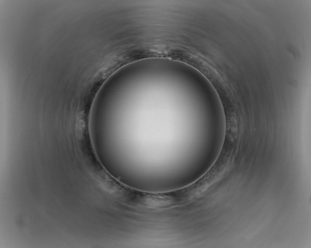 X0000115810707200911131420