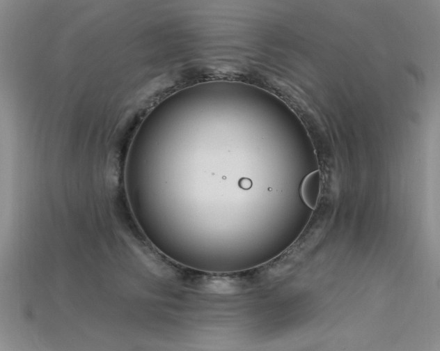 X0000115810710200911131420