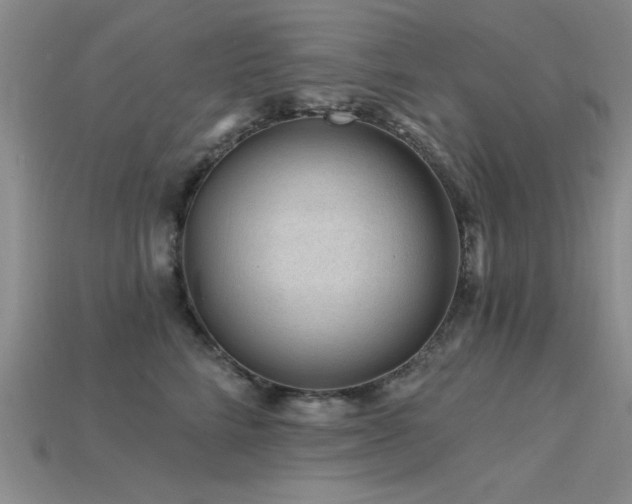 X0000115810712200911131420