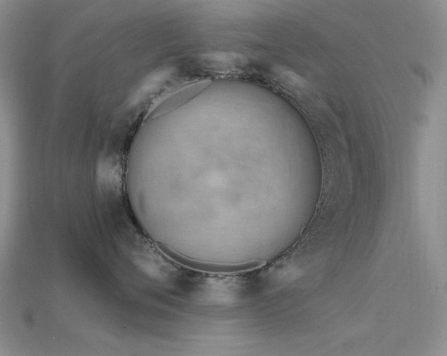 X0000115810720200911131420