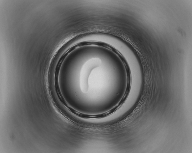X0000115810726200911131420