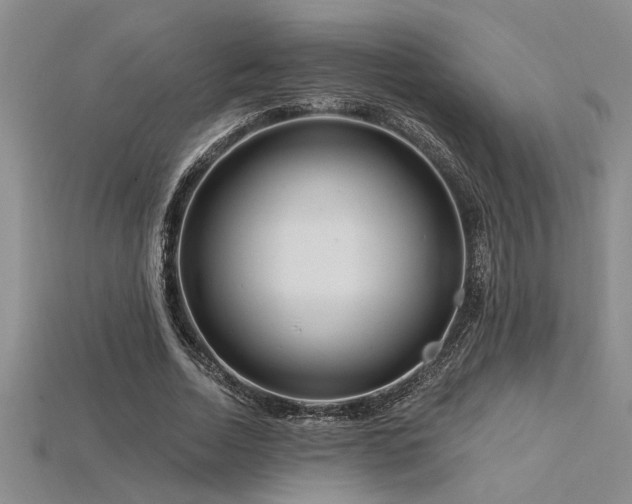 X0000115810730200911131420