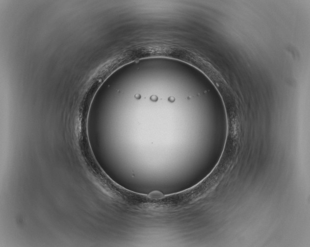 X0000115810733200911131420