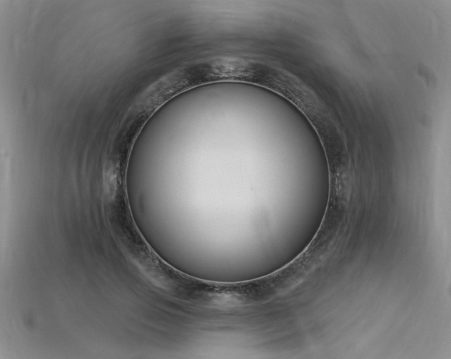 X0000115810741200911131420