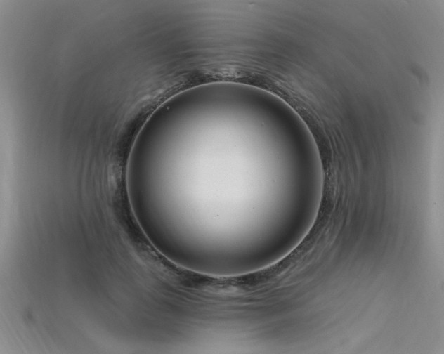 X0000115810747200911131420