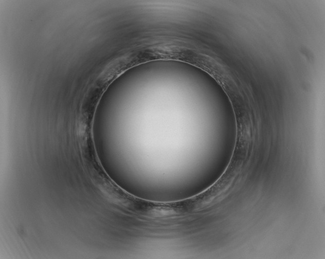 X0000115810749200911131420