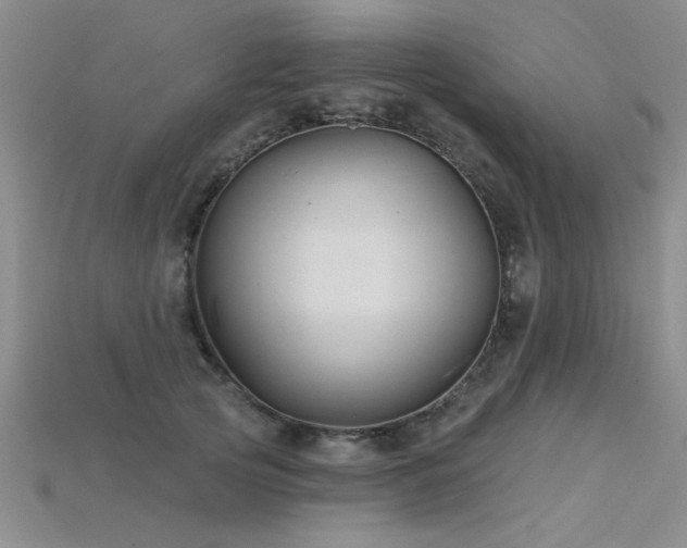 X0000115810753200911131420