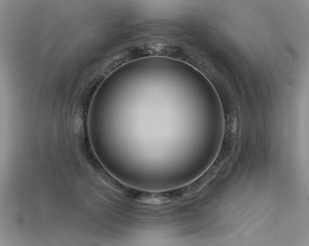 X0000115810754200911131420