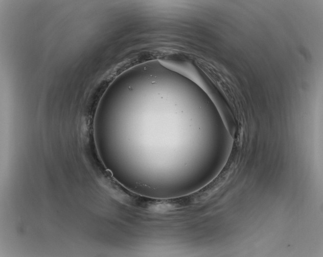X0000115810759200911131420