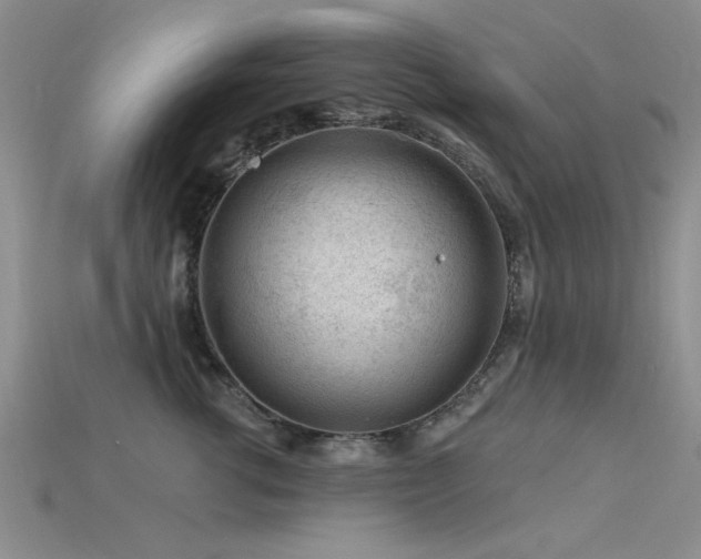 X0000115810762200911131420