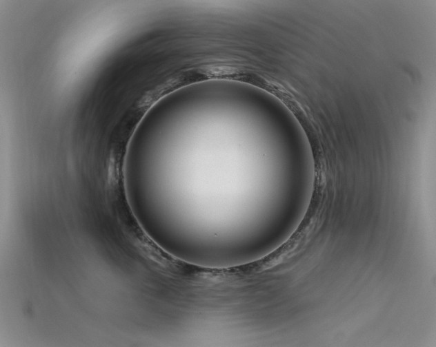 X0000115810763200911131420